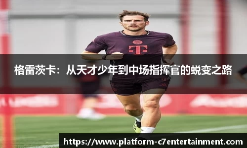c7娱乐官网